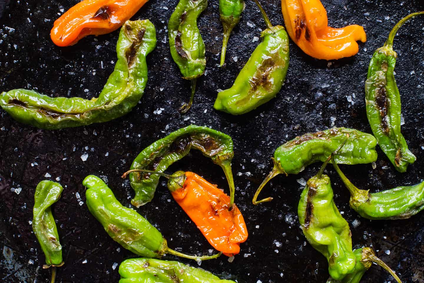 Shishito Peppers