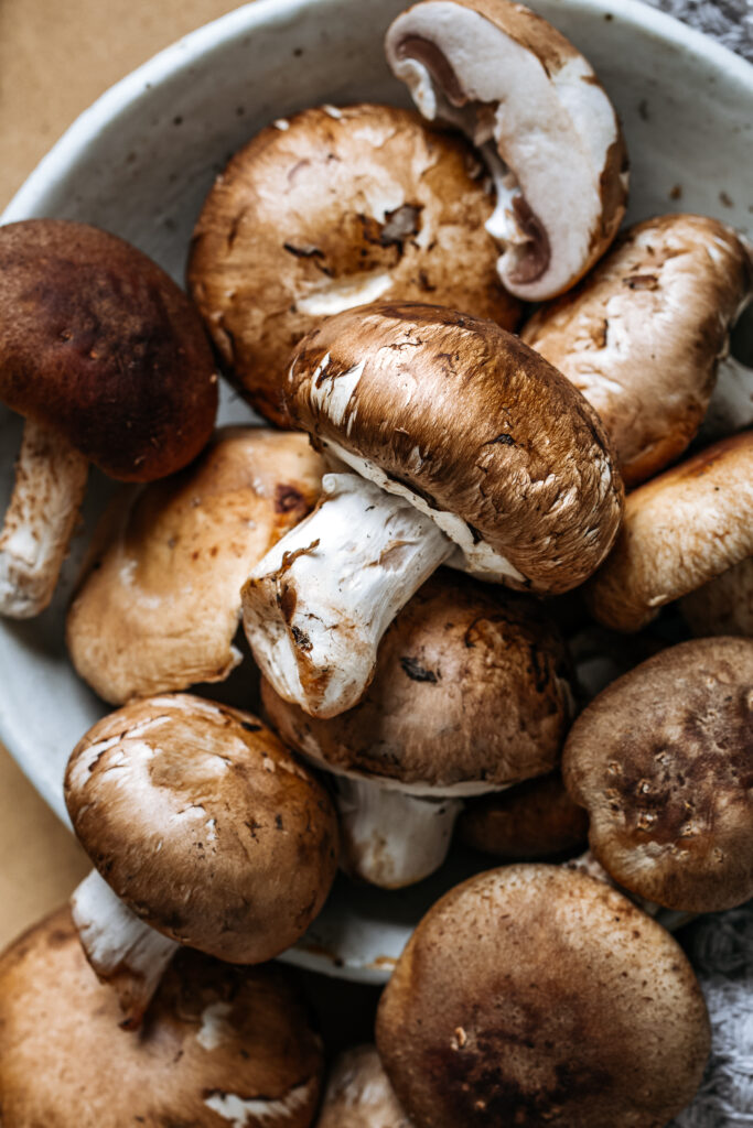 Close up of mushrooms