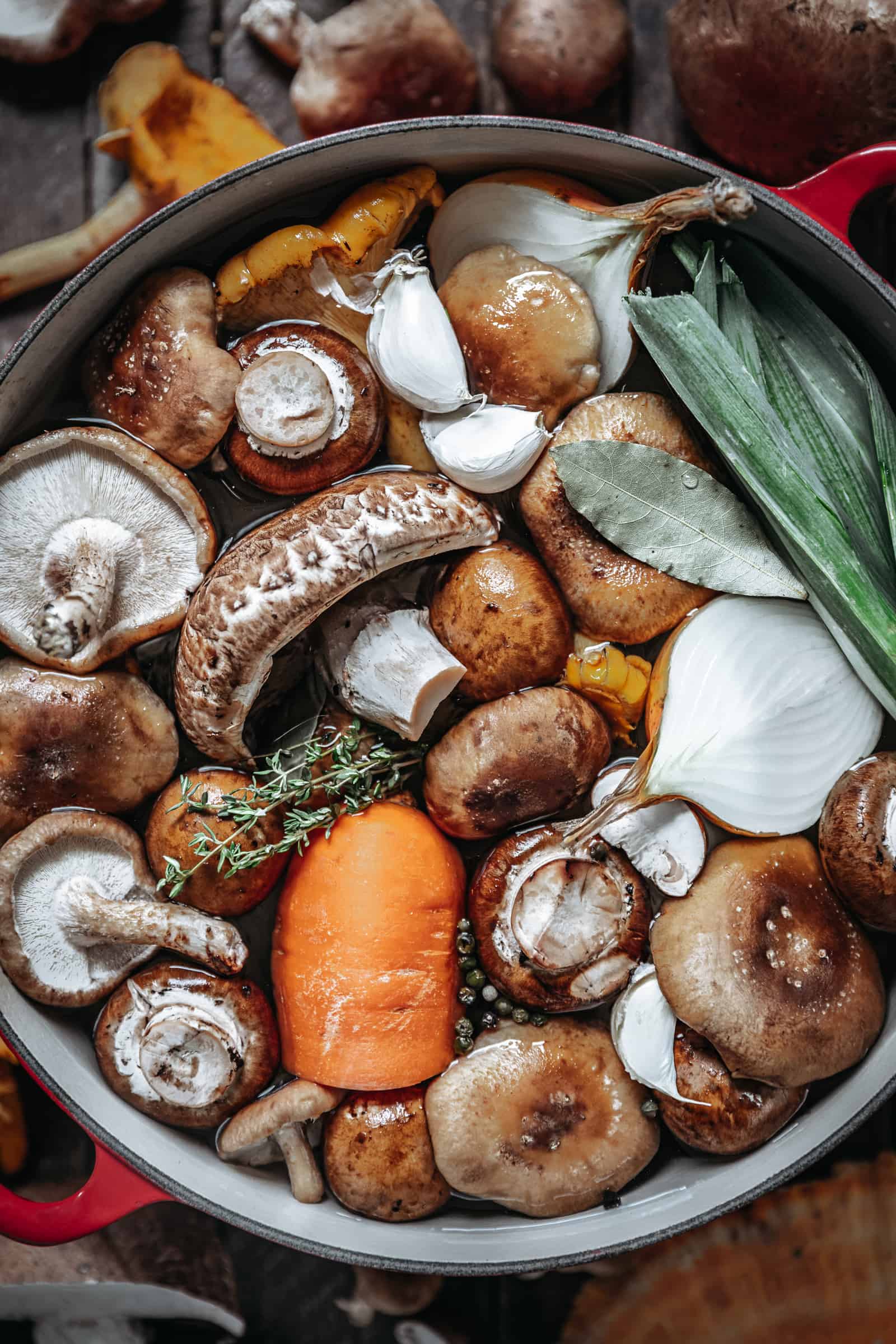 Homemade mushroom stock