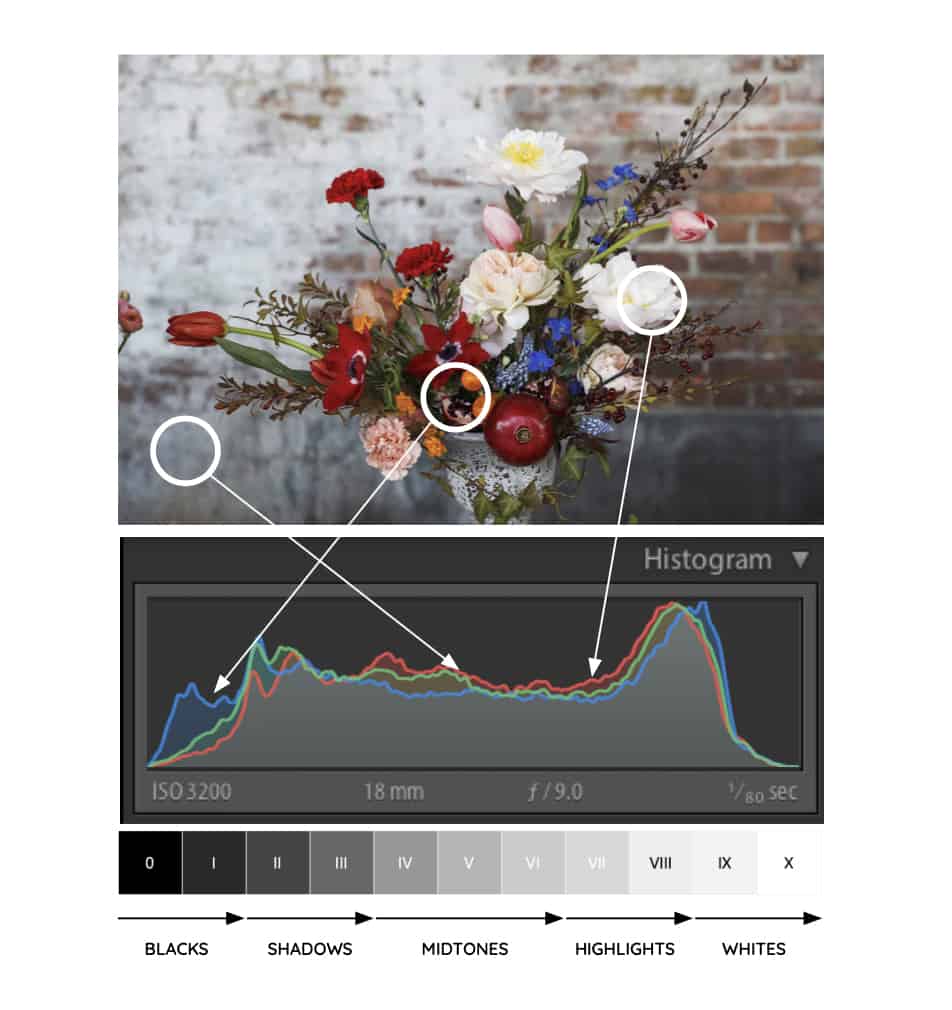 Histogram Overview