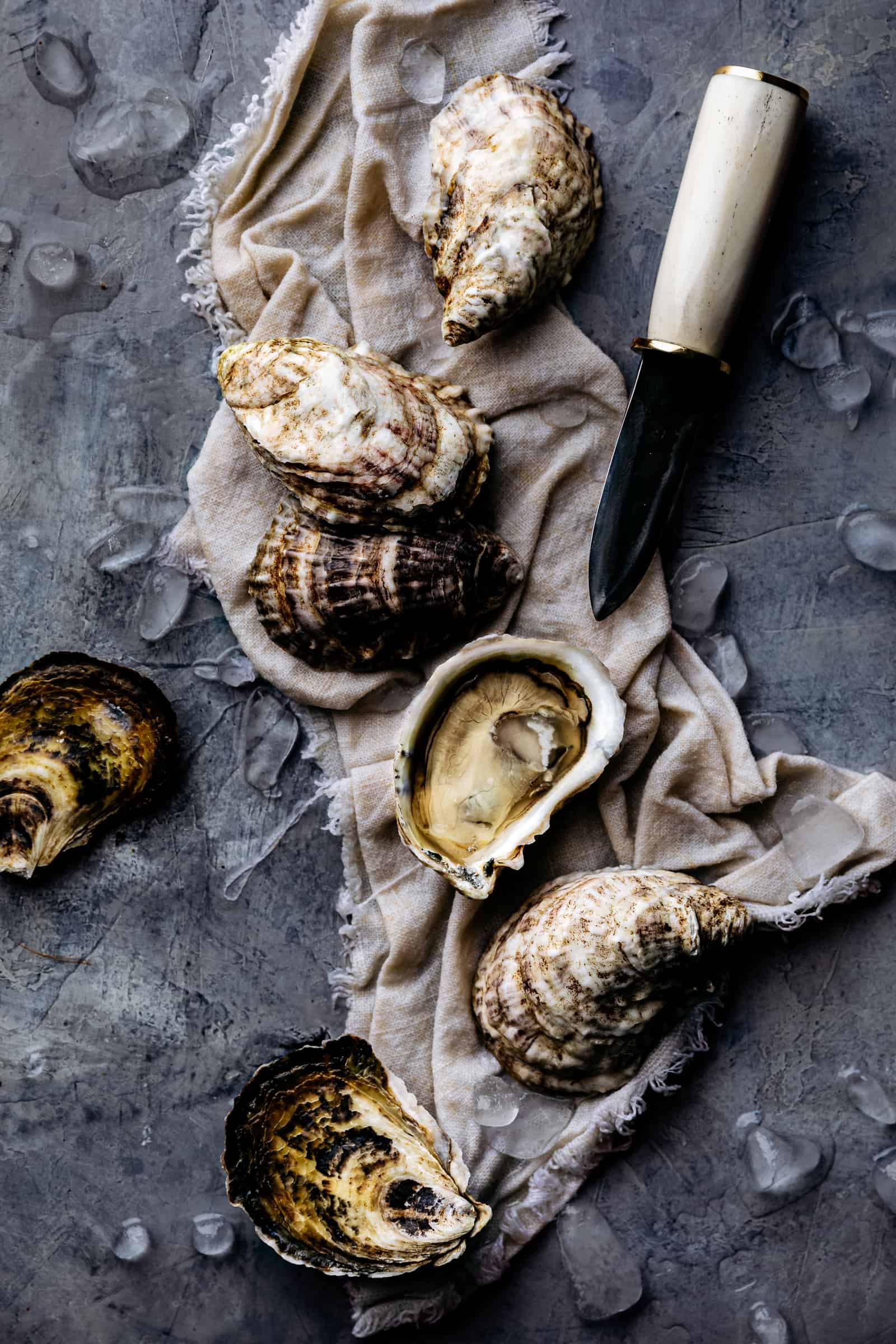 Freshly Shucked Oysters